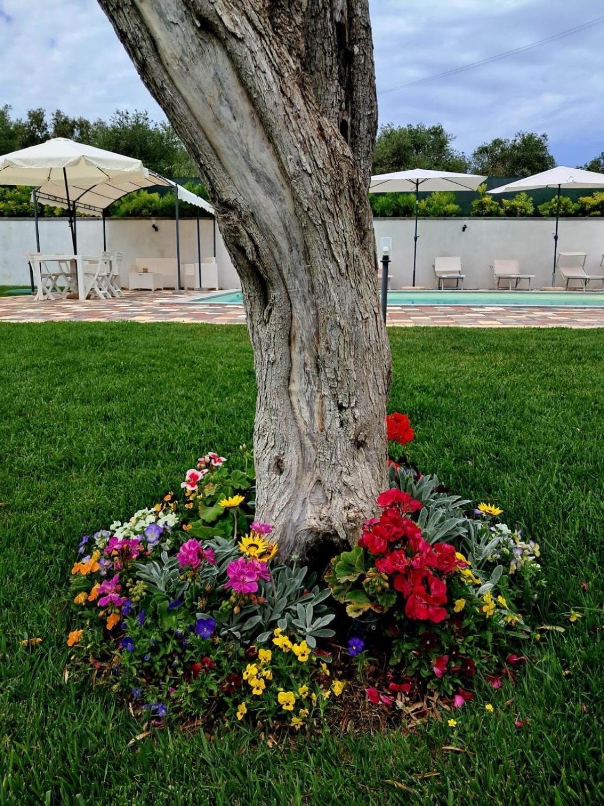 Villa Ginevra 산 파스콸레 외부 사진